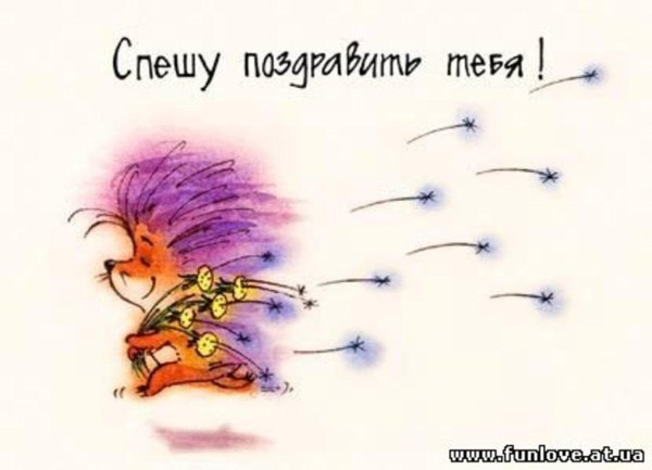 ежик иллюстрация