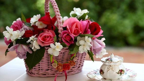 прекрасные цветы