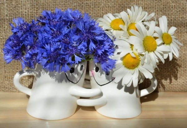 доброе утро васильки и ромашки