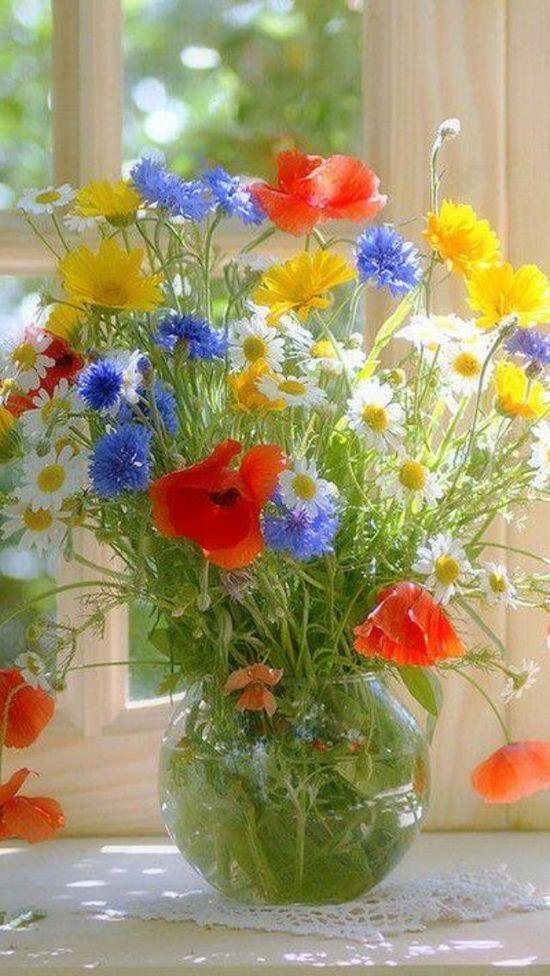 полевые цветы