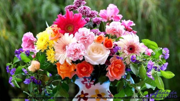 летние букеты цветов