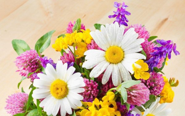 летние букеты цветов