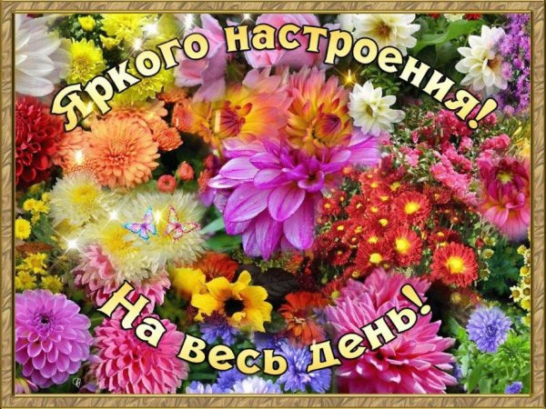 осень цветы