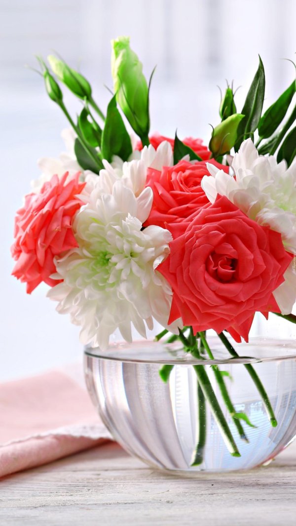 красивая цветок