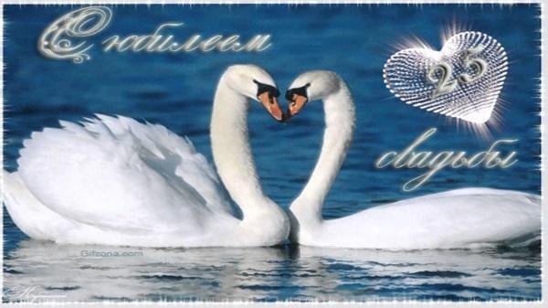 любовь лебедей