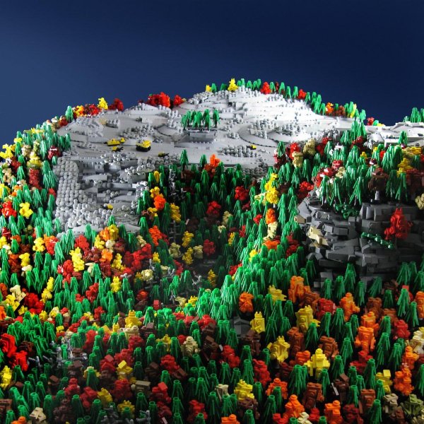 beautiful lego wild