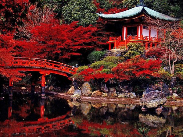 храм дайгодзи