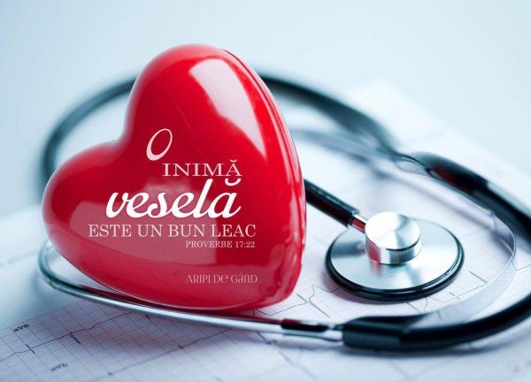 сердечно сосудистые заболевания