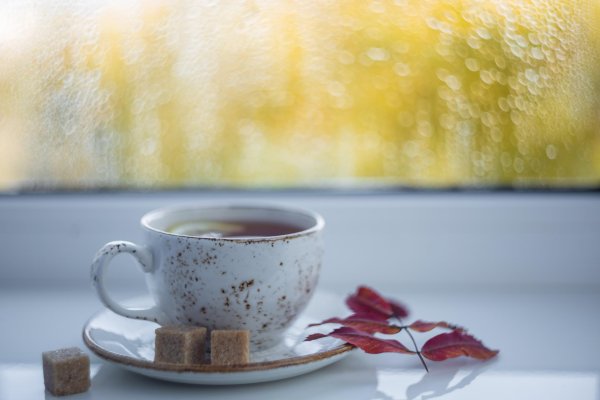 осеннее чаепитие