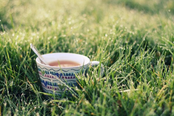 кофе на природе