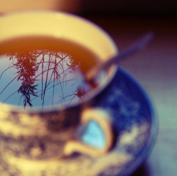 отражение в чашке чая