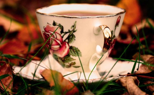 осеннее чаепитие