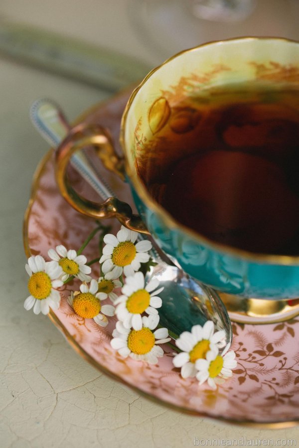 chamomile tea