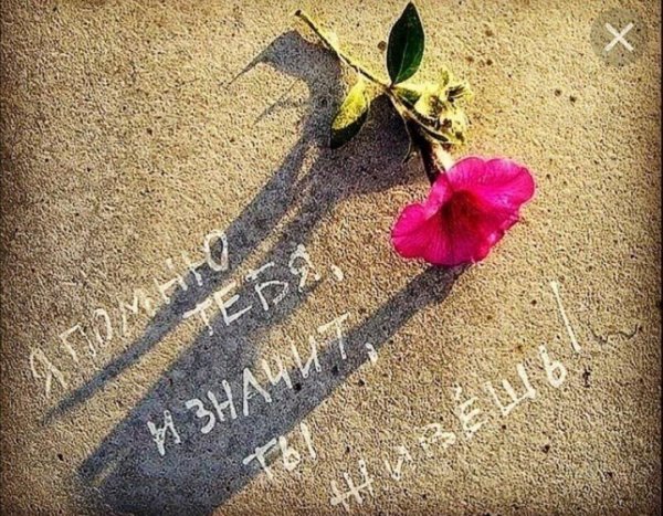 память любви