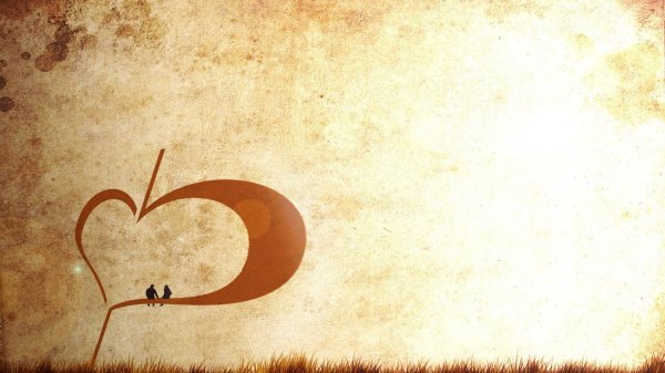 афоризмы про внимательность