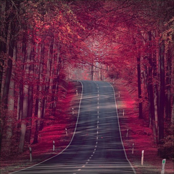 красота природа